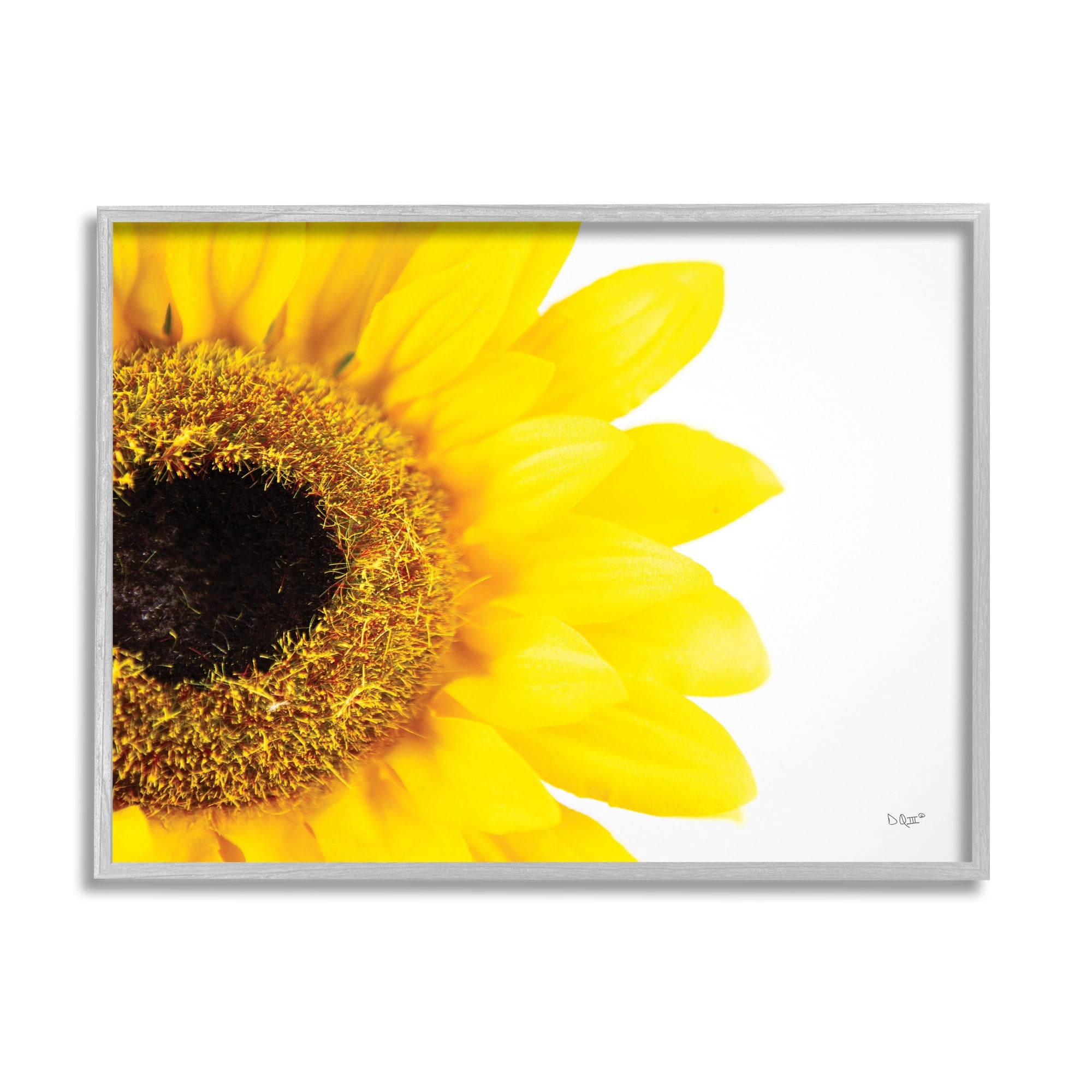 Stupell Industries Detail of Sunflower Disk And Petals Photograph,30 x 24, Design by Donnie Quillen