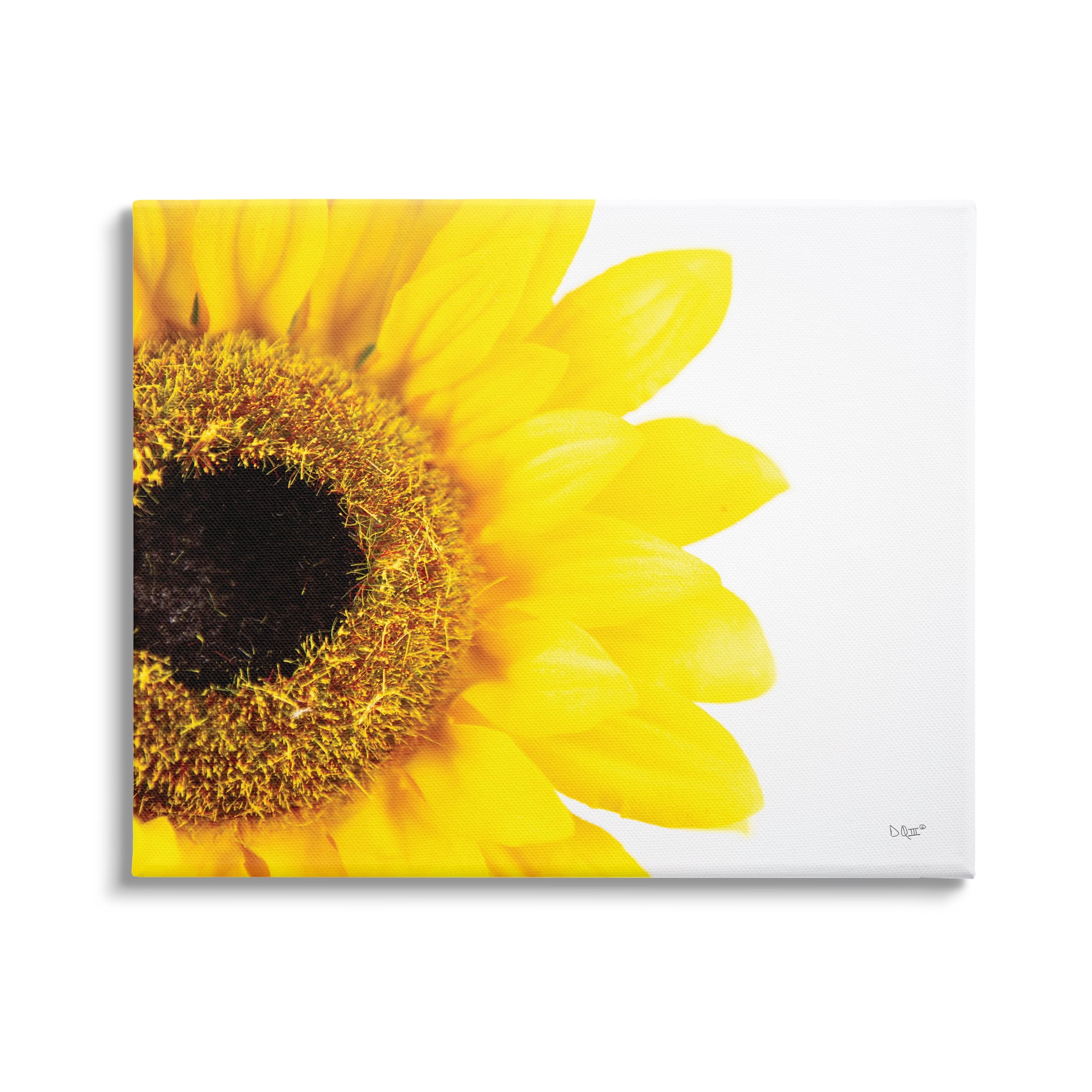Stupell Industries Detail of Sunflower Disk And Petals Photograph,40 x 30, Design by Donnie Quillen