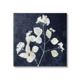 thumbnail image 1 of Stupell Industries Detailed Abstract Plant Leaves Shapes Modern Botanicals Graphic Art Gallery Wrapped Canvas Print Wall Art, Design by Danielle Carson, 1 of 7
