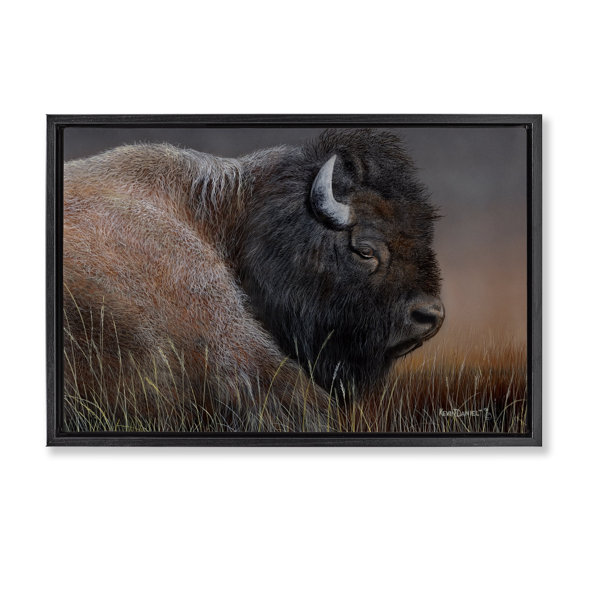 Stupell Industries Detailed Bison Close Up Animals Painting Black Floater Framed Canvas Art Print Wall Art, 31 x 21