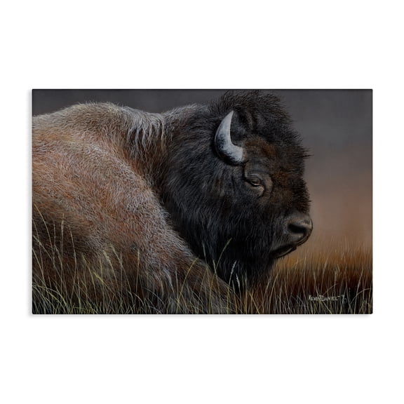 Stupell Industries Detailed Bison Close Up Animals Painting Wrapped Canvas Art Print Wall Art, 36 x 24