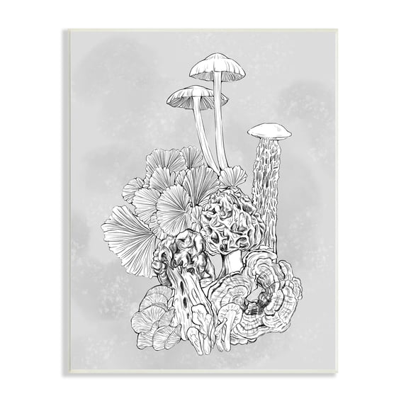 Stupell Industries Detailed Botanical Drawing Mushroom Proliferate Plant Study,10 x 15, Design by Ziwei Li
