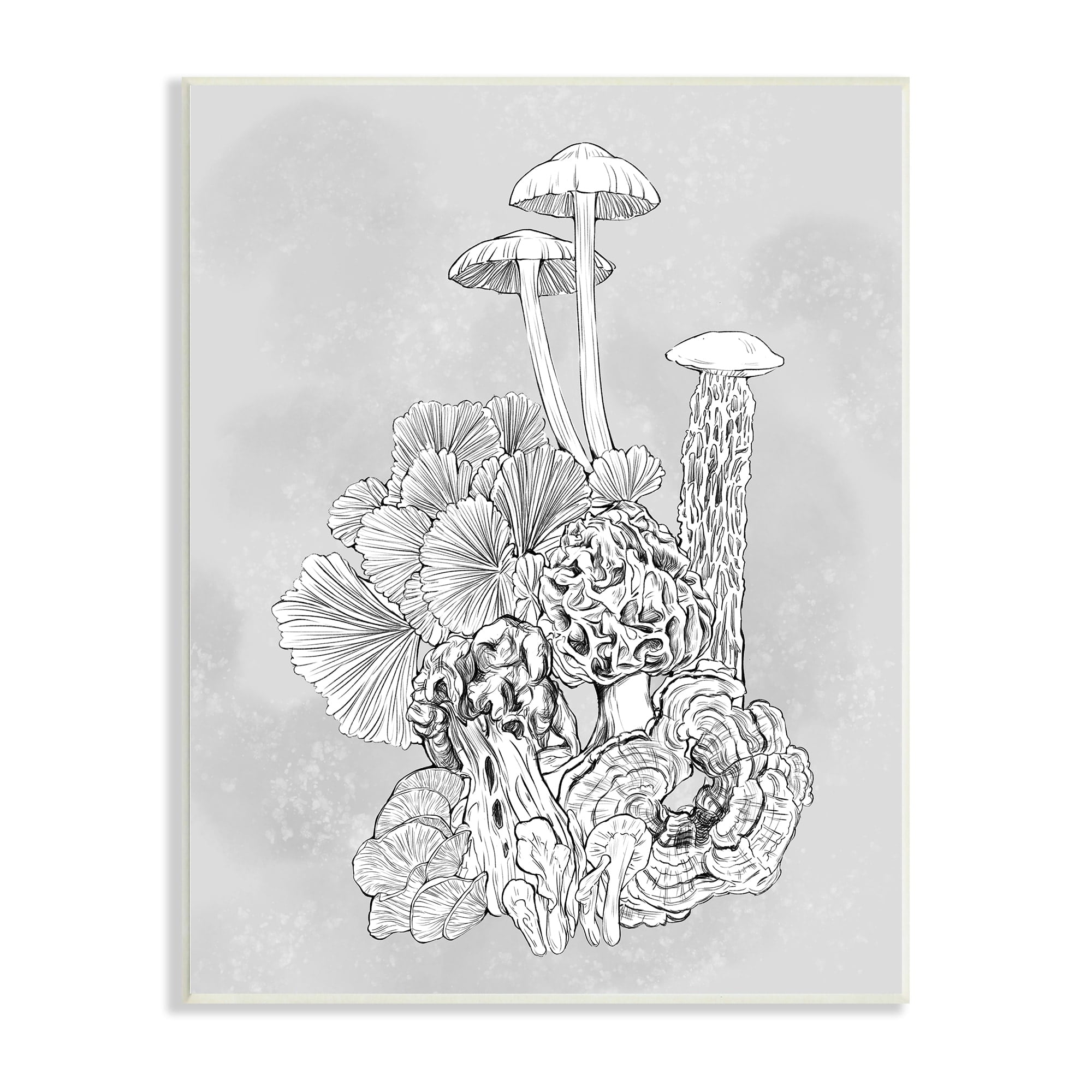 Stupell Industries Detailed Botanical Drawing Mushroom Proliferate Plant Study,13 x 19, Design by Ziwei Li