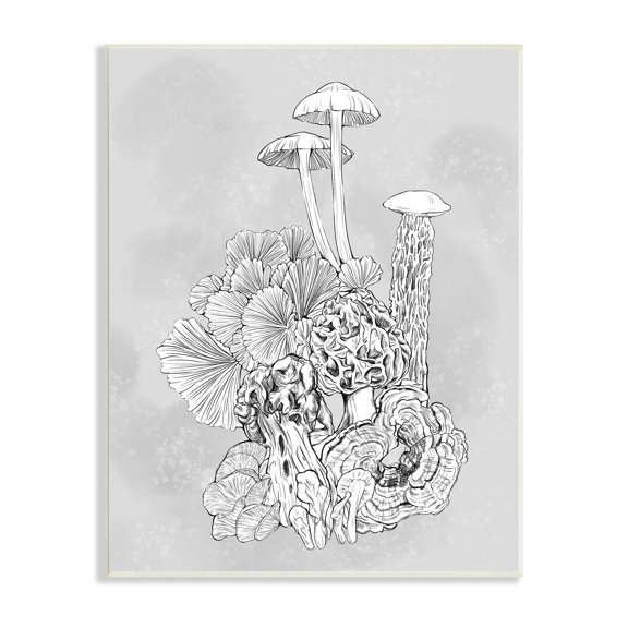 Stupell Industries Detailed Botanical Drawing Mushroom Proliferate Plant Study,13 x 19, Design by Ziwei Li