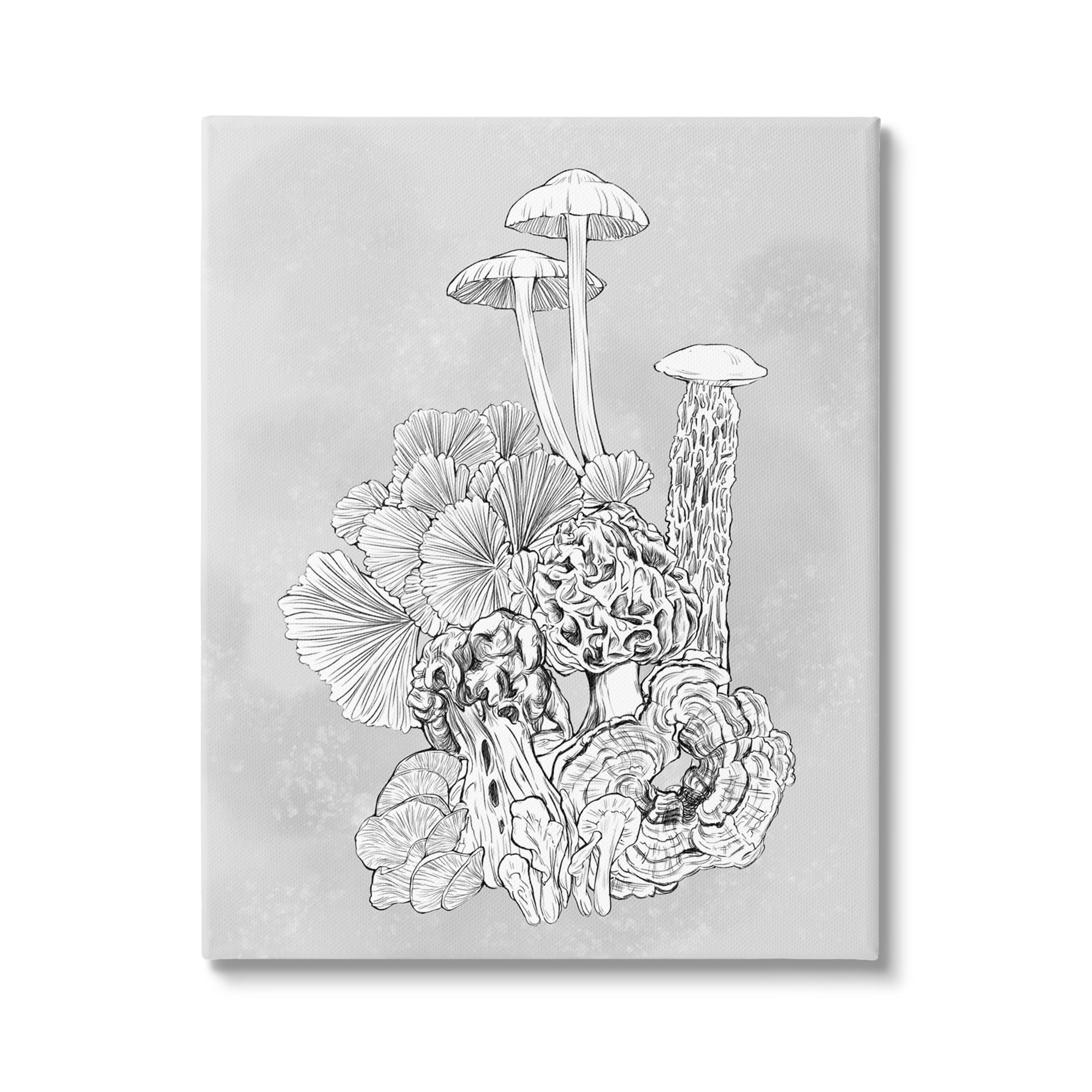 Stupell Industries Detailed Botanical Drawing Mushroom Proliferate Plant Study,16 x 20, Design by Ziwei Li