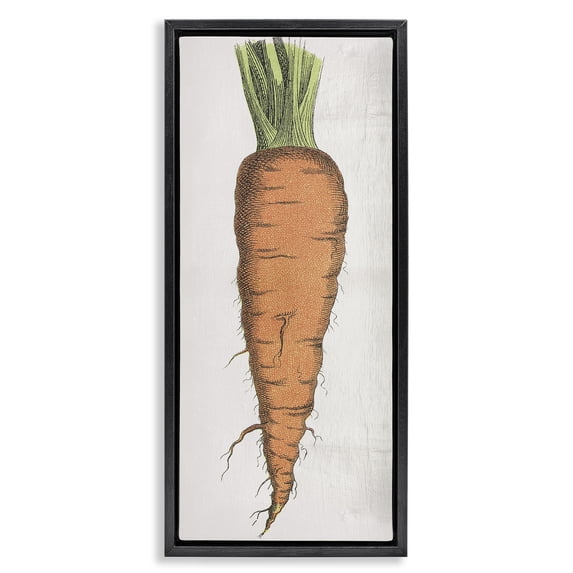 Stupell Industries Cottage Detailed Carrot Study Black Floating Frame Canvas Art, 11 x 25, by Lil' Rue