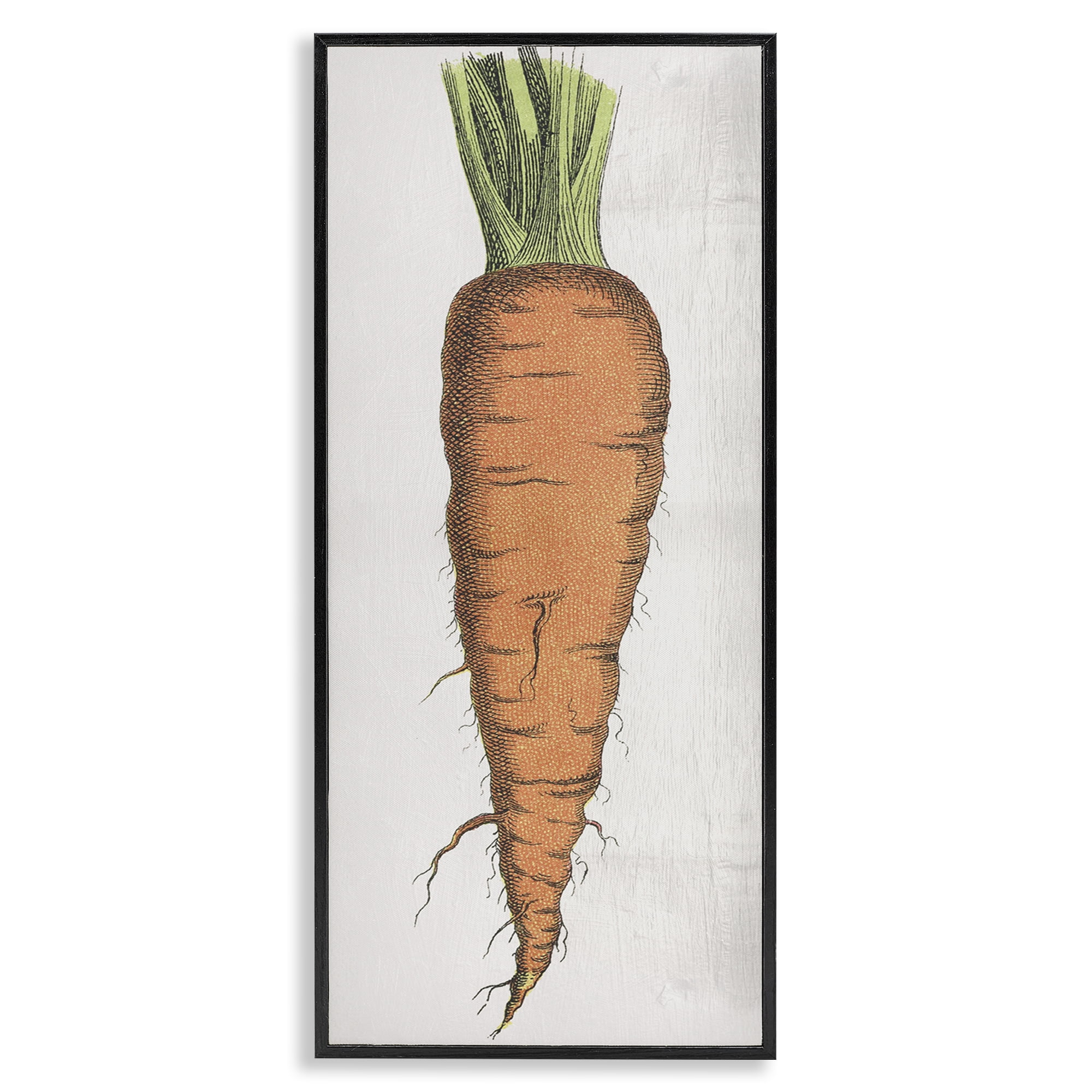 Stupell Industries Detailed Carrot Study Food & Beverage Painting Black Framed Art Print Wall Art, 13 x 30