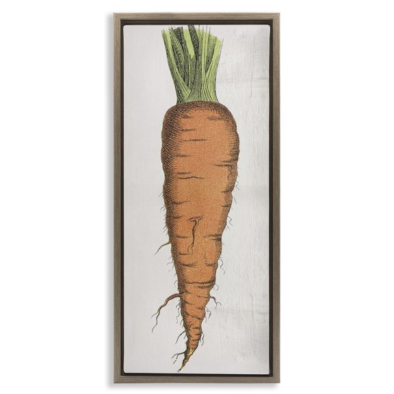 Stupell Industries Detailed Carrot Study Food & Beverage Painting Brown Floater Framed Canvas Art Print Wall Art, 11 x 25