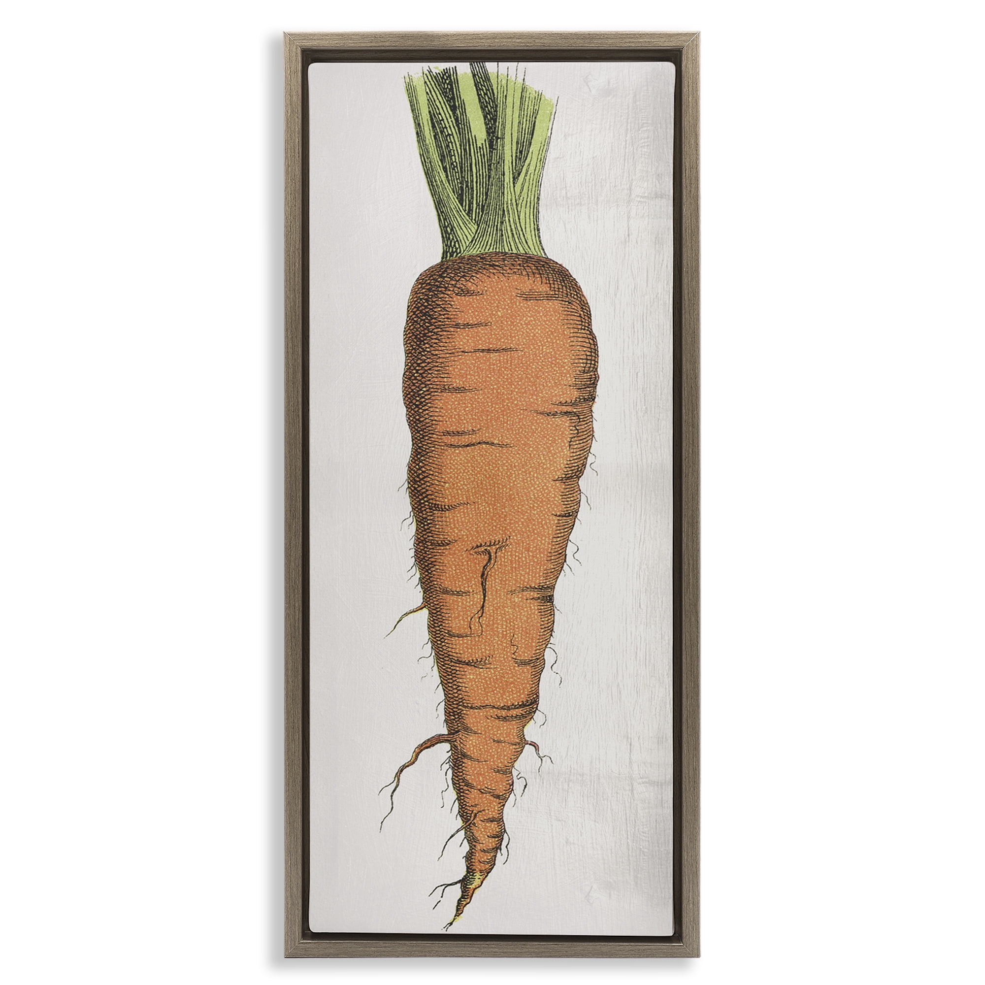 Stupell Industries Detailed Carrot Study Food & Beverage Painting Brown Floater Framed Canvas Art Print Wall Art, 14 x 31
