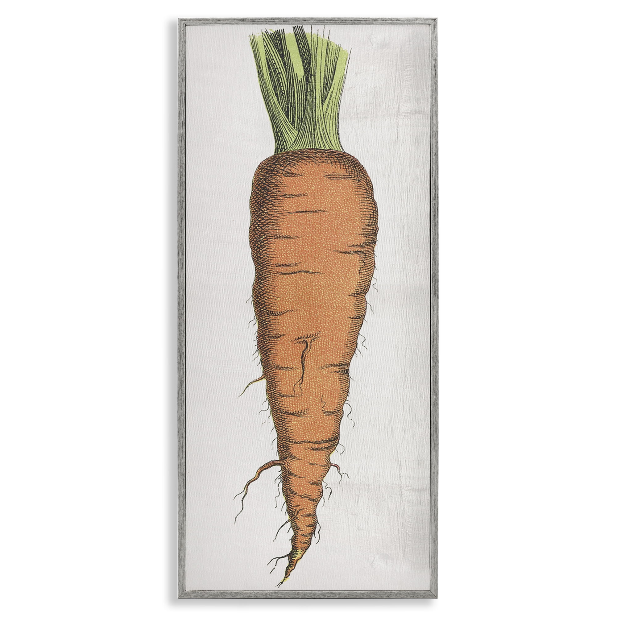 Stupell Industries Detailed Carrot Study Food & Beverage Painting Gray Framed Art Print Wall Art, 10 x 24
