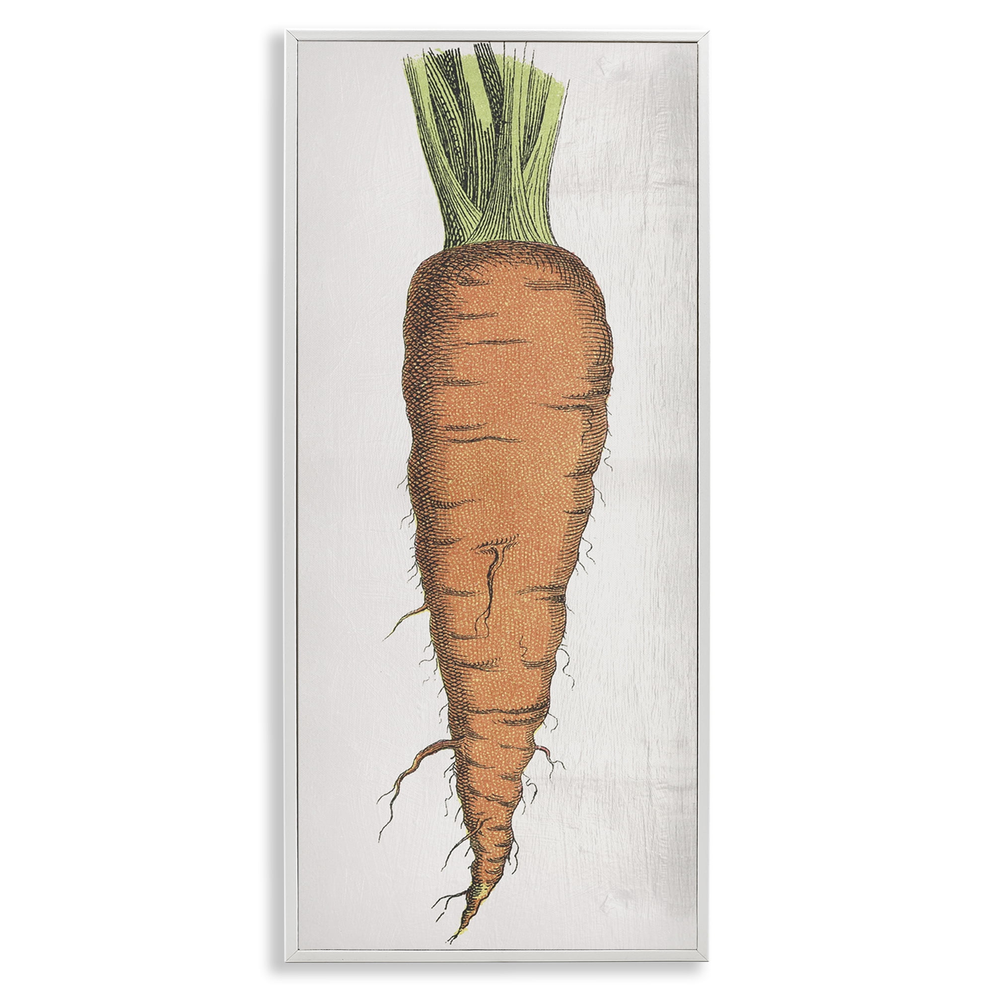 Stupell Industries Detailed Carrot Study Food & Beverage Painting White Framed Art Print Wall Art, 13 x 30