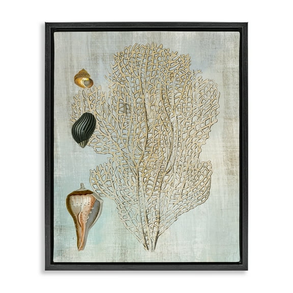 Stupell Industries Detailed Coral & Seashells Animals Painting Black Floater Framed Canvas Art Print Wall Art, 17 x 21