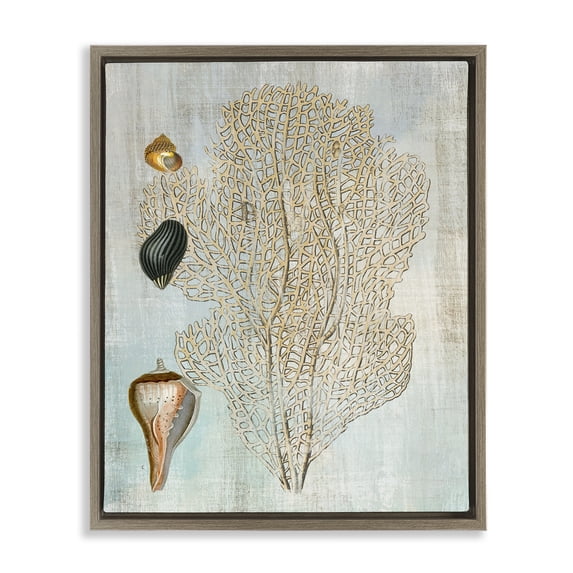 Stupell Industries Cottage Detailed Coral & Seashells Brown Floating Frame Canvas Art, 17 x 21, by Susan Arnot