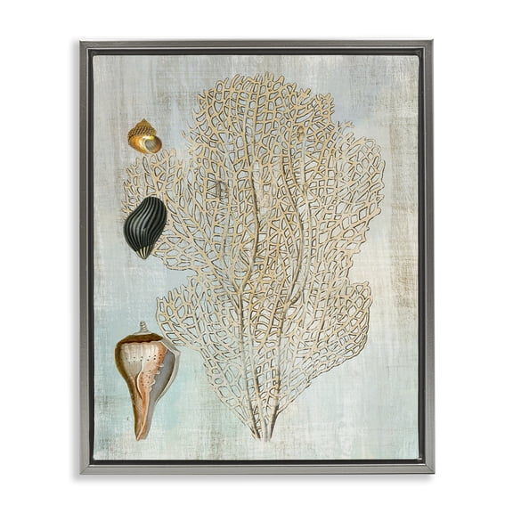 Stupell Industries Detailed Coral & Seashells Animals Painting Gray Floater Framed Canvas Art Print Wall Art, 17 x 21