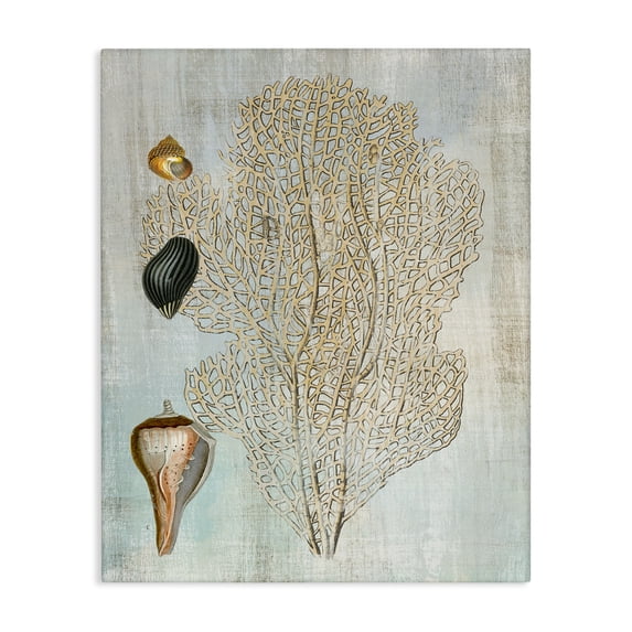 Stupell Industries Detailed Coral & Seashells Animals Painting Wrapped Canvas Canvas Art Print Wall Art, 24 x 30