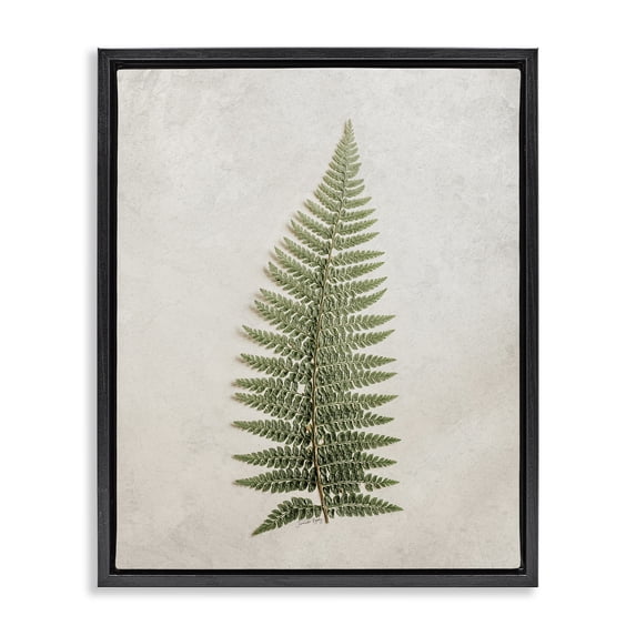 Stupell Industries Scandinavian Detailed Fern Frond Black Floating Frame Canvas Art, 17 x 21, by Jennifer Rigsby