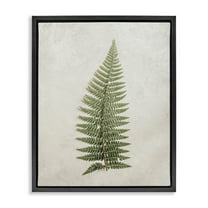 Stupell Industries Detailed Fern Frond Botanical & Floral Painting Black Floater Framed Art Print Wall Art, 17 x 21