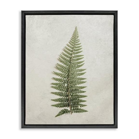Stupell Industries Detailed Fern Frond Botanical & Floral Painting Black Floater Framed Art Print Wall Art, 17 x 21