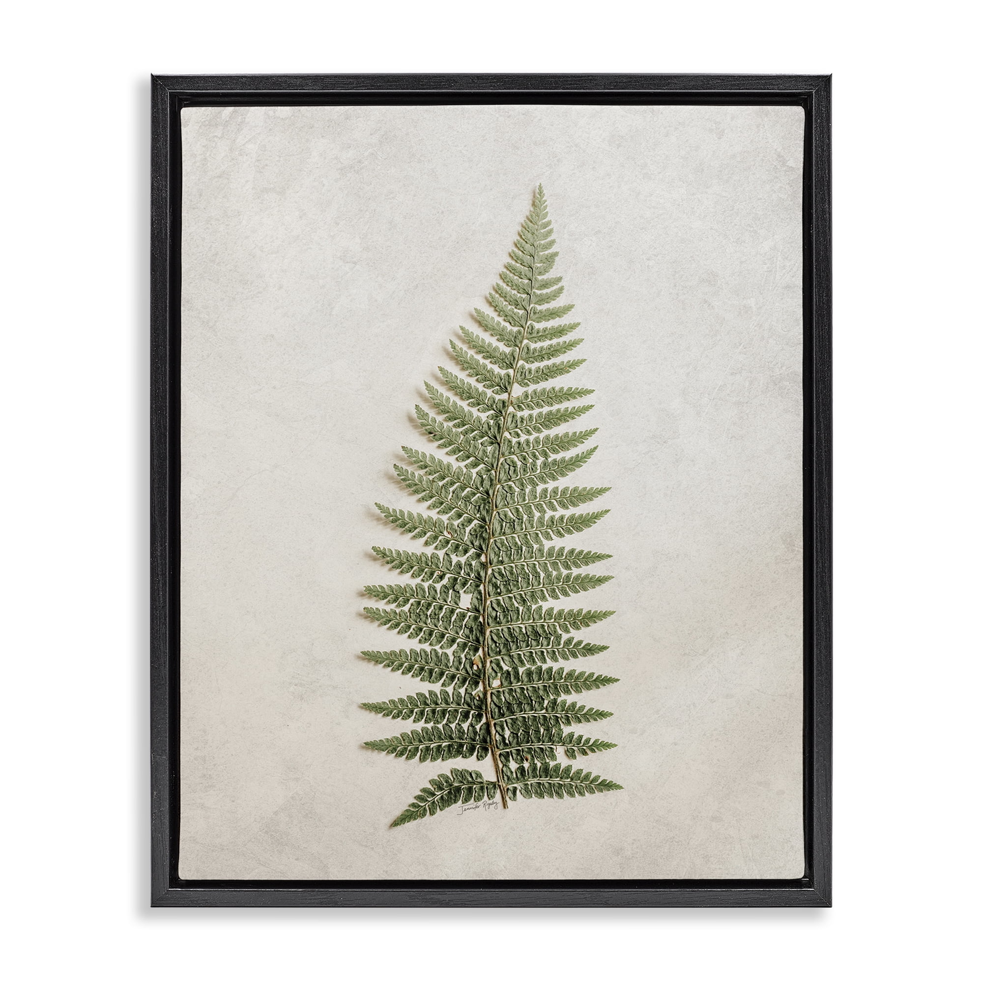 Stupell Industries Detailed Fern Frond Botanical & Floral Painting Black Floater Framed Art Print Wall Art, 25 x 31