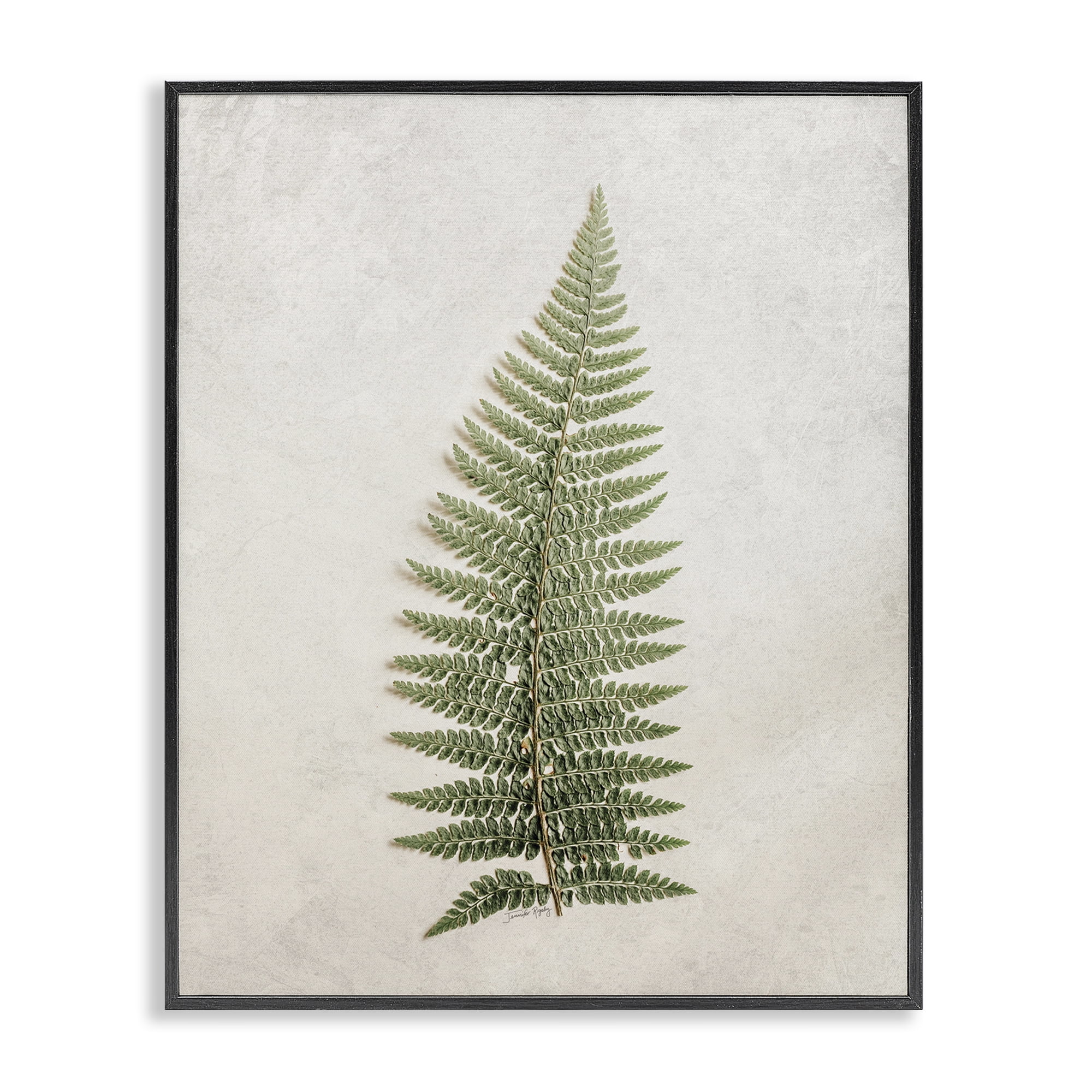 Stupell Industries Detailed Fern Frond Botanical & Floral Painting Black Framed Art Print Wall Art, 24 x 30