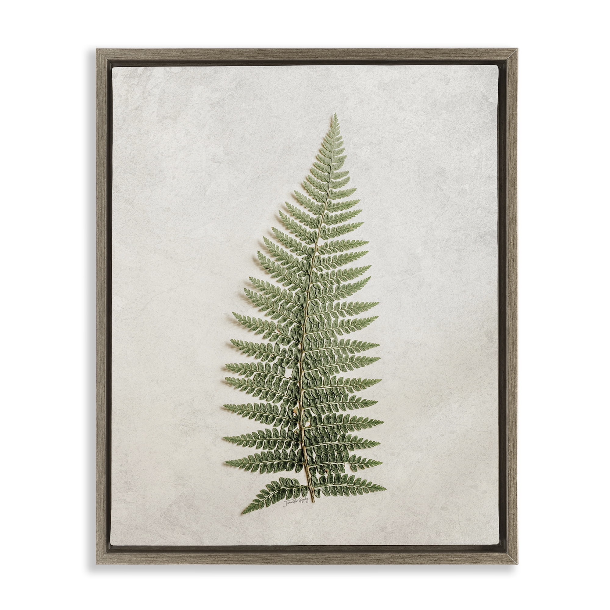 Stupell Industries Detailed Fern Frond Botanical & Floral Painting Brown Floater Framed Art Print Wall Art, 17 x 21