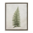 thumbnail image 1 of Stupell Industries Detailed Fern Frond Botanical & Floral Painting Brown Floater Framed Art Print Wall Art, 17 x 21, 1 of 10