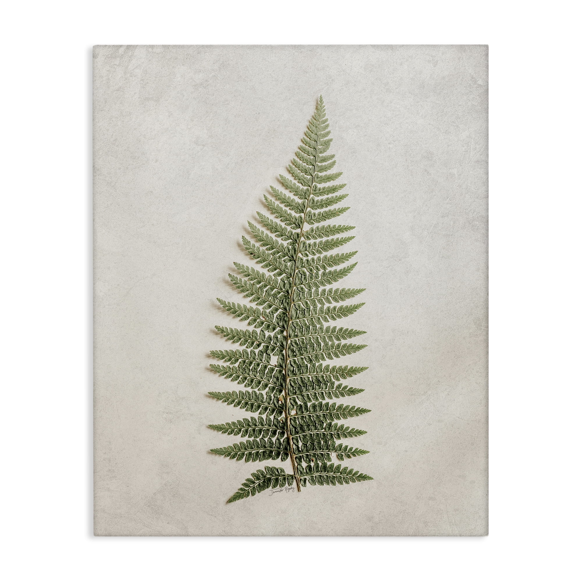 Stupell Industries Detailed Fern Frond Botanical & Floral Painting Gallery Wrapped Canvas Art Print Wall Art, 30 x 40
