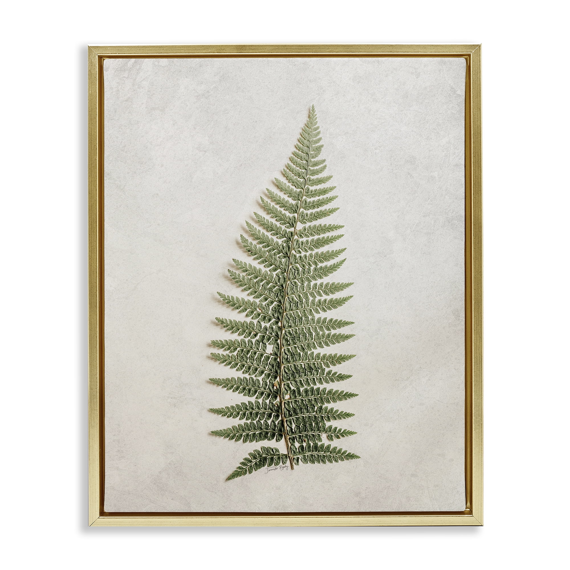Stupell Industries Detailed Fern Frond Botanical & Floral Painting Gold Floater Framed Art Print Wall Art, 25 x 31