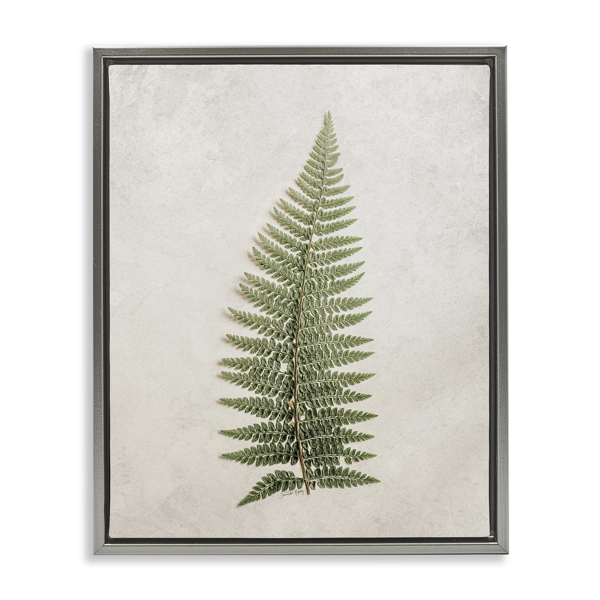 Stupell Industries Detailed Fern Frond Botanical & Floral Painting Gray Floater Framed Art Print Wall Art, 25 x 31