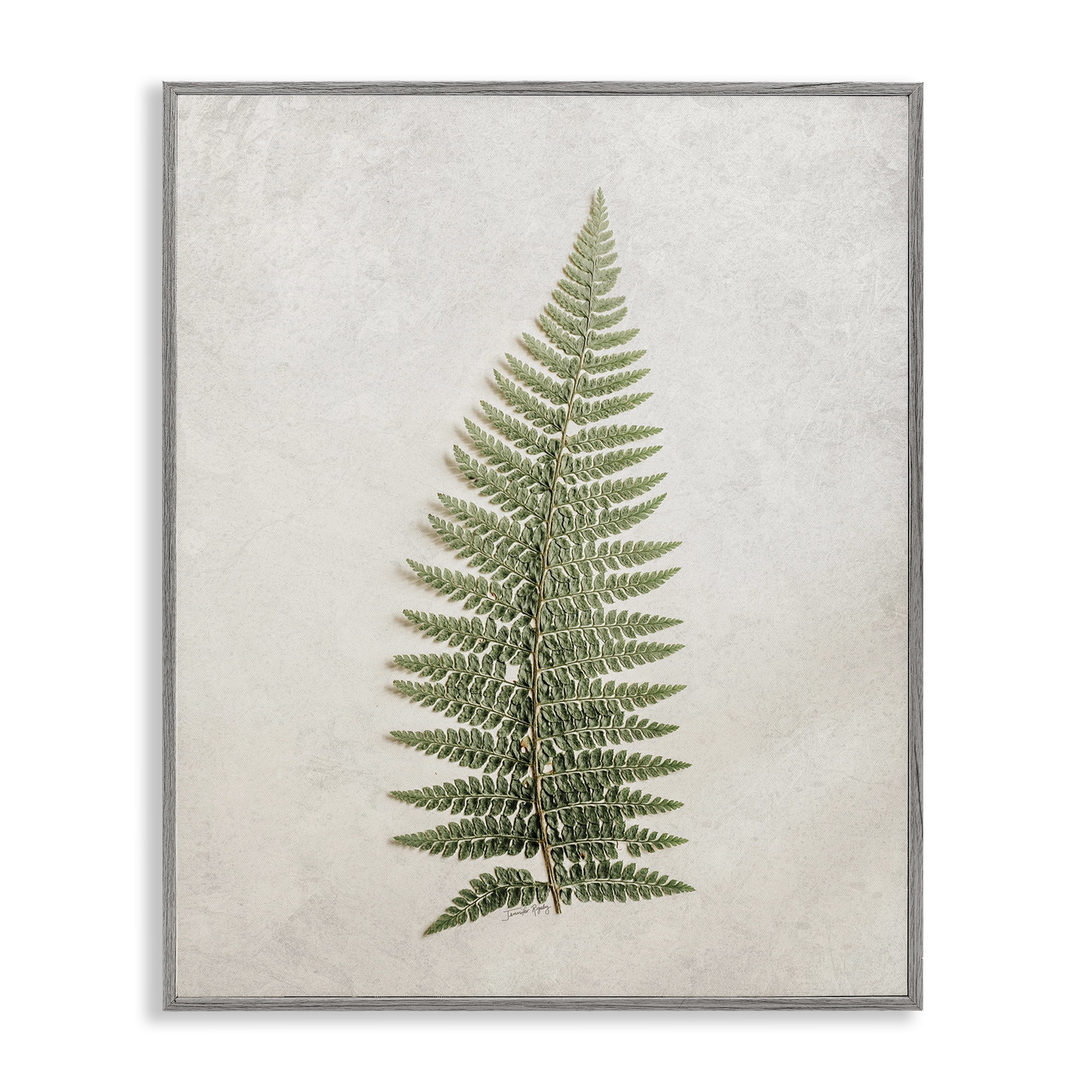 Gray Framed Botanical Fern Print on Canvas, 16 x 20
