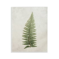 Stupell Industries Detailed Fern Frond Botanical & Floral Painting Unframed Art Print Wall Art, 11 x 14