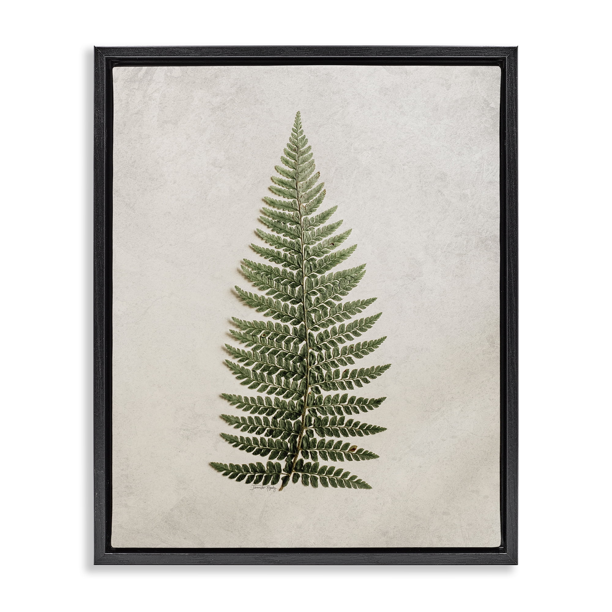 Stupell Industries Detailed Fern Leaf Botanical & Floral Painting Black Floater Framed Art Print Wall Art, 25 x 31