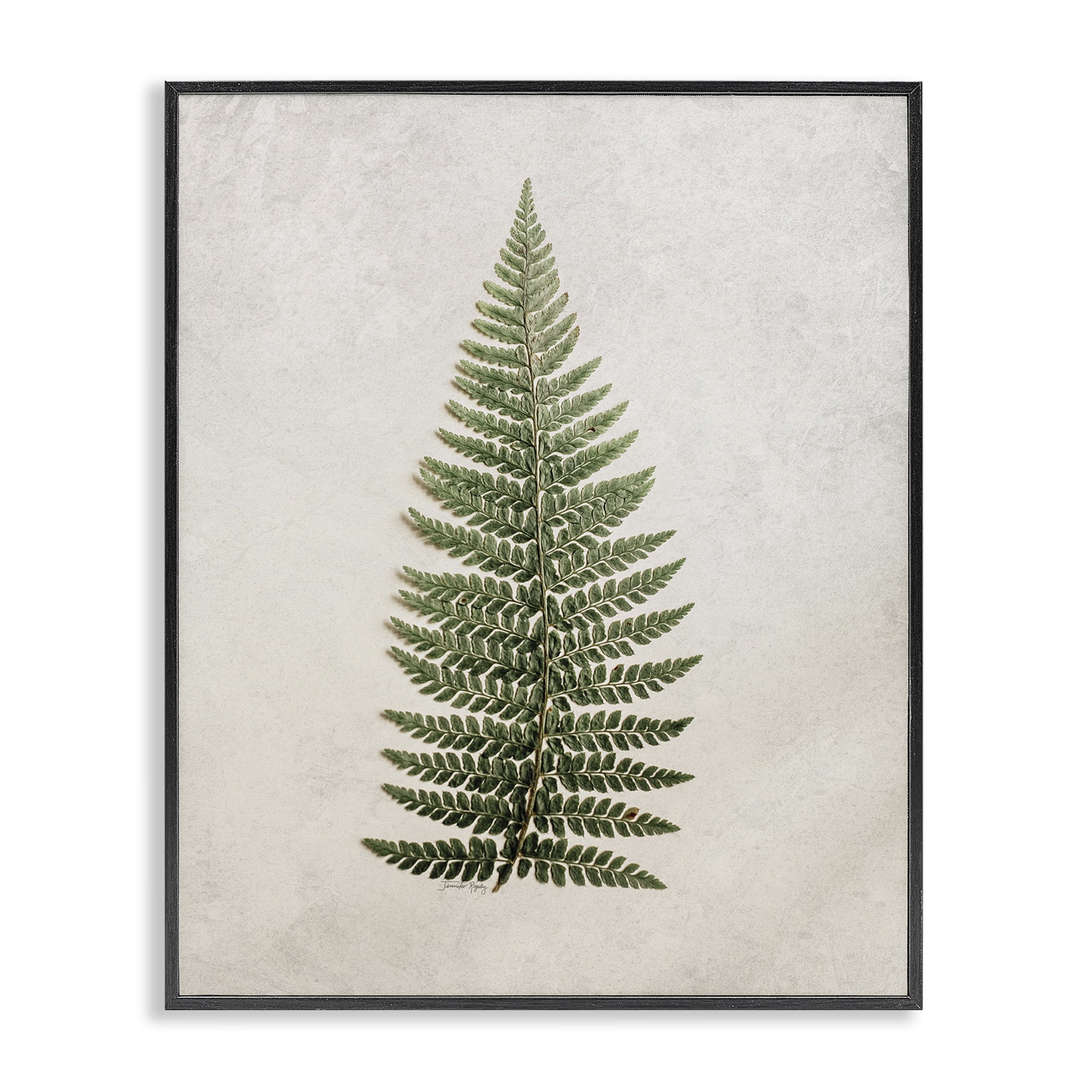Stupell Industries Detailed Fern Leaf Botanical & Floral Painting Black Framed Art Print Wall Art, 24 x 30