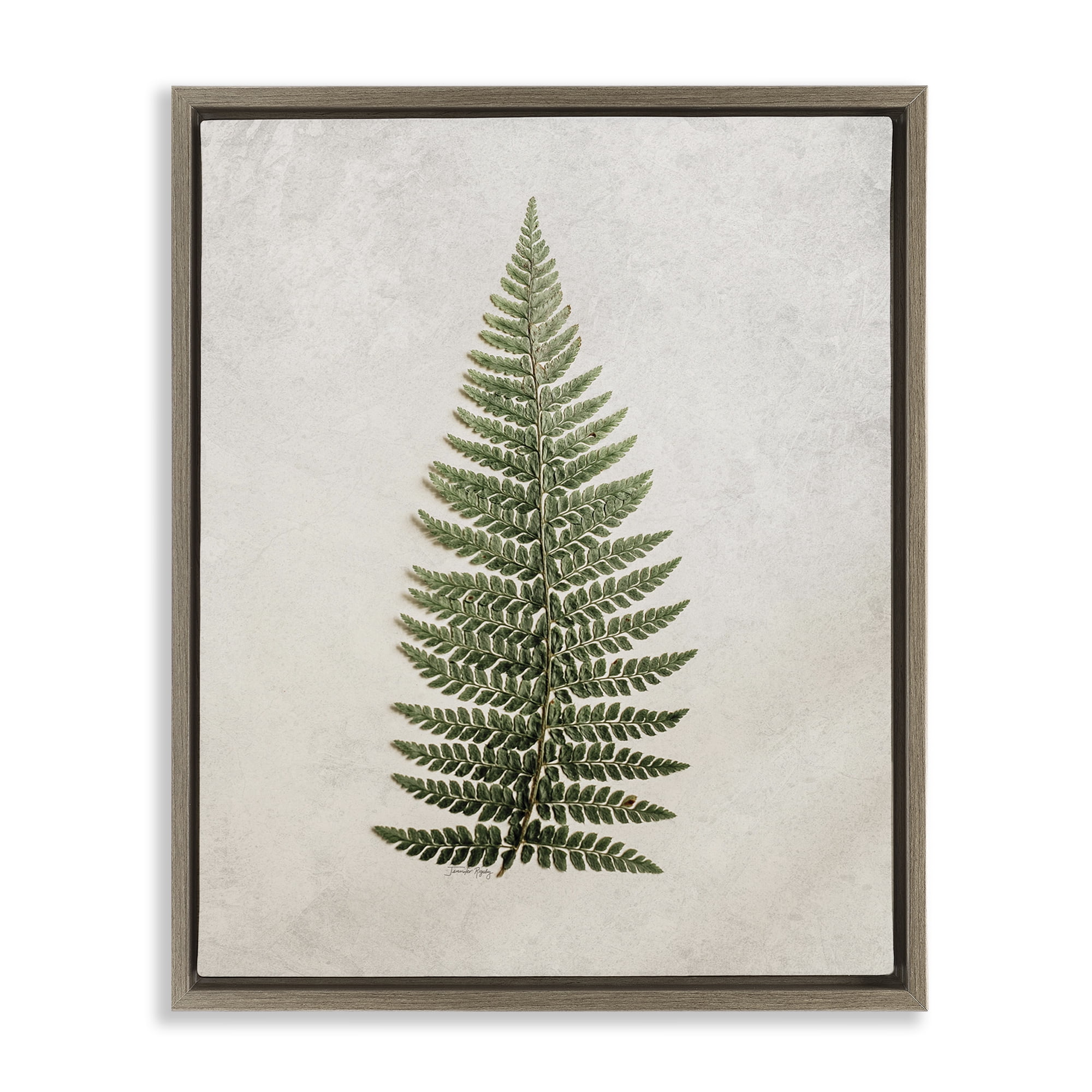 Stupell Industries Detailed Fern Leaf Botanical & Floral Painting Brown Floater Framed Art Print Wall Art, 17 x 21