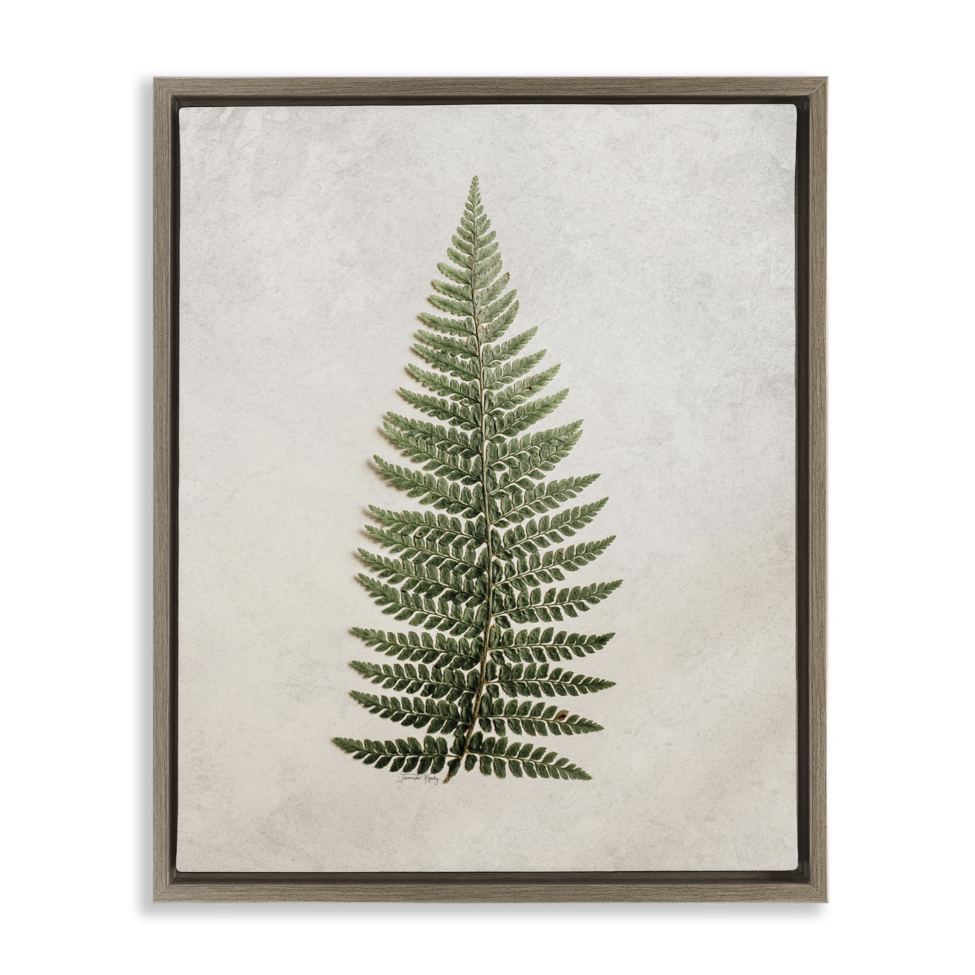 Stupell Industries Detailed Fern Leaf Botanical & Floral Painting Brown Floater Framed Art Print Wall Art, 25 x 31