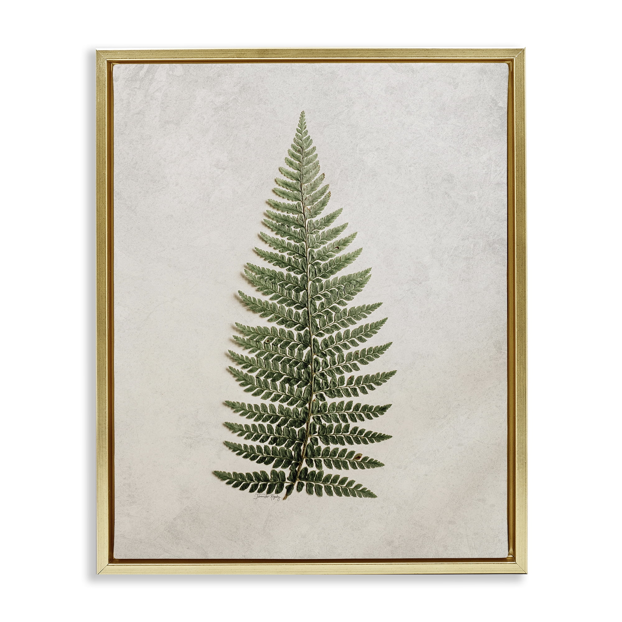 Stupell Industries Detailed Fern Leaf Botanical & Floral Painting Gold Floater Framed Art Print Wall Art, 17 x 21