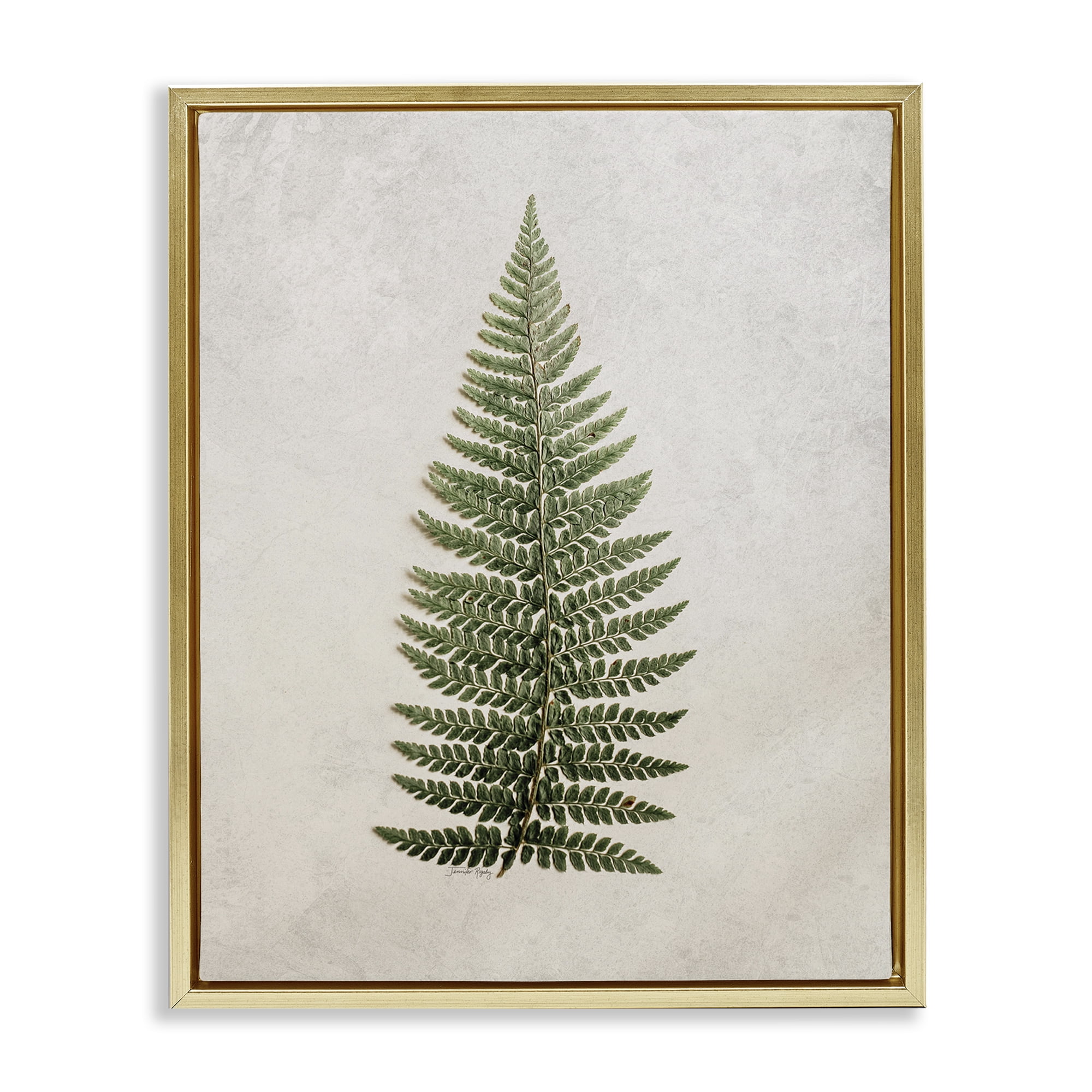 Stupell Industries Detailed Fern Leaf Botanical & Floral Painting Gold Floater Framed Art Print Wall Art, 25 x 31