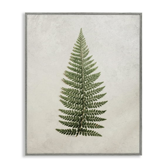 Stupell Industries Detailed Fern Leaf Botanical & Floral Painting Gray Framed Art Print Wall Art, 16 x 20