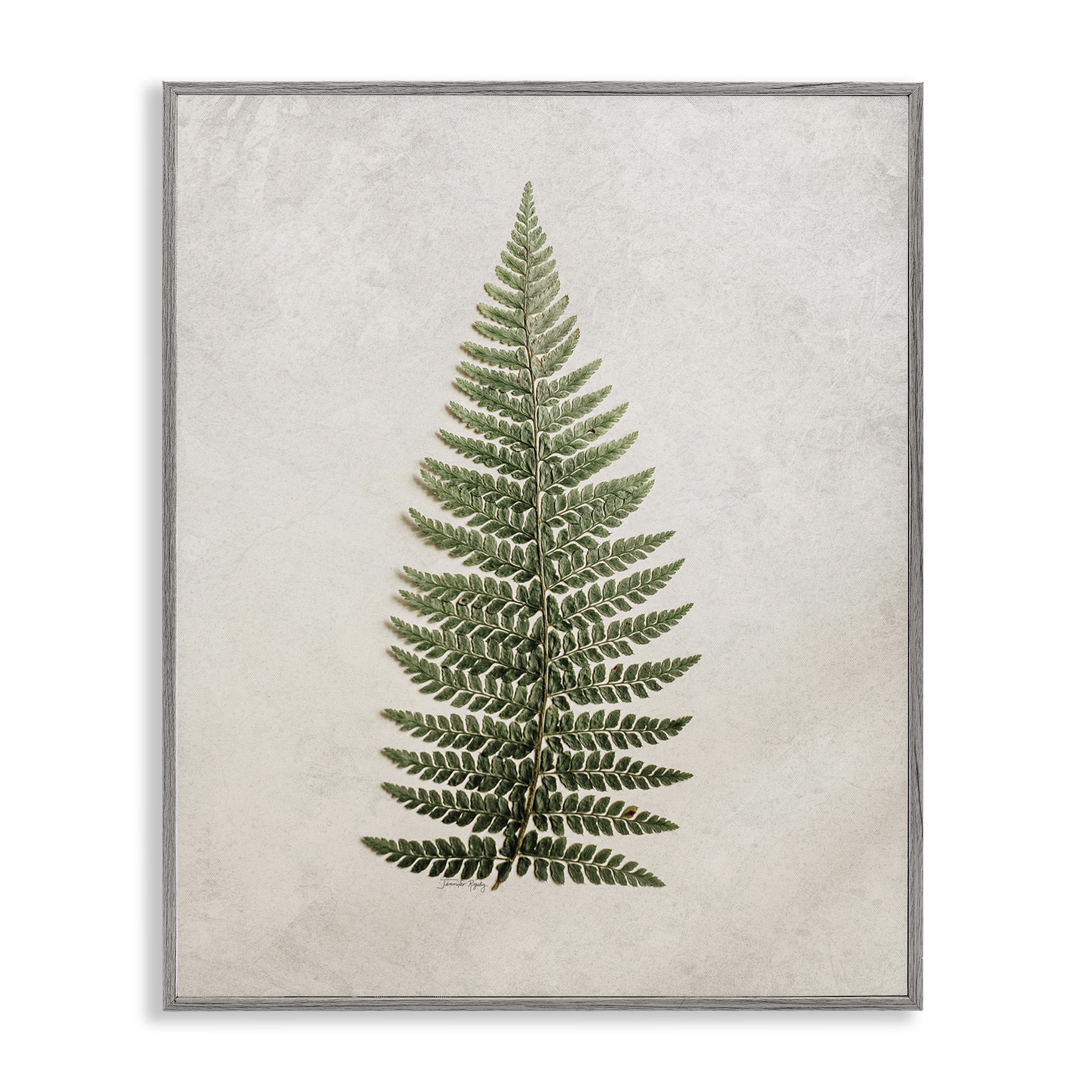 Stupell Industries Detailed Fern Leaf Botanical & Floral Painting Gray Framed Art Print Wall Art, 24 x 30