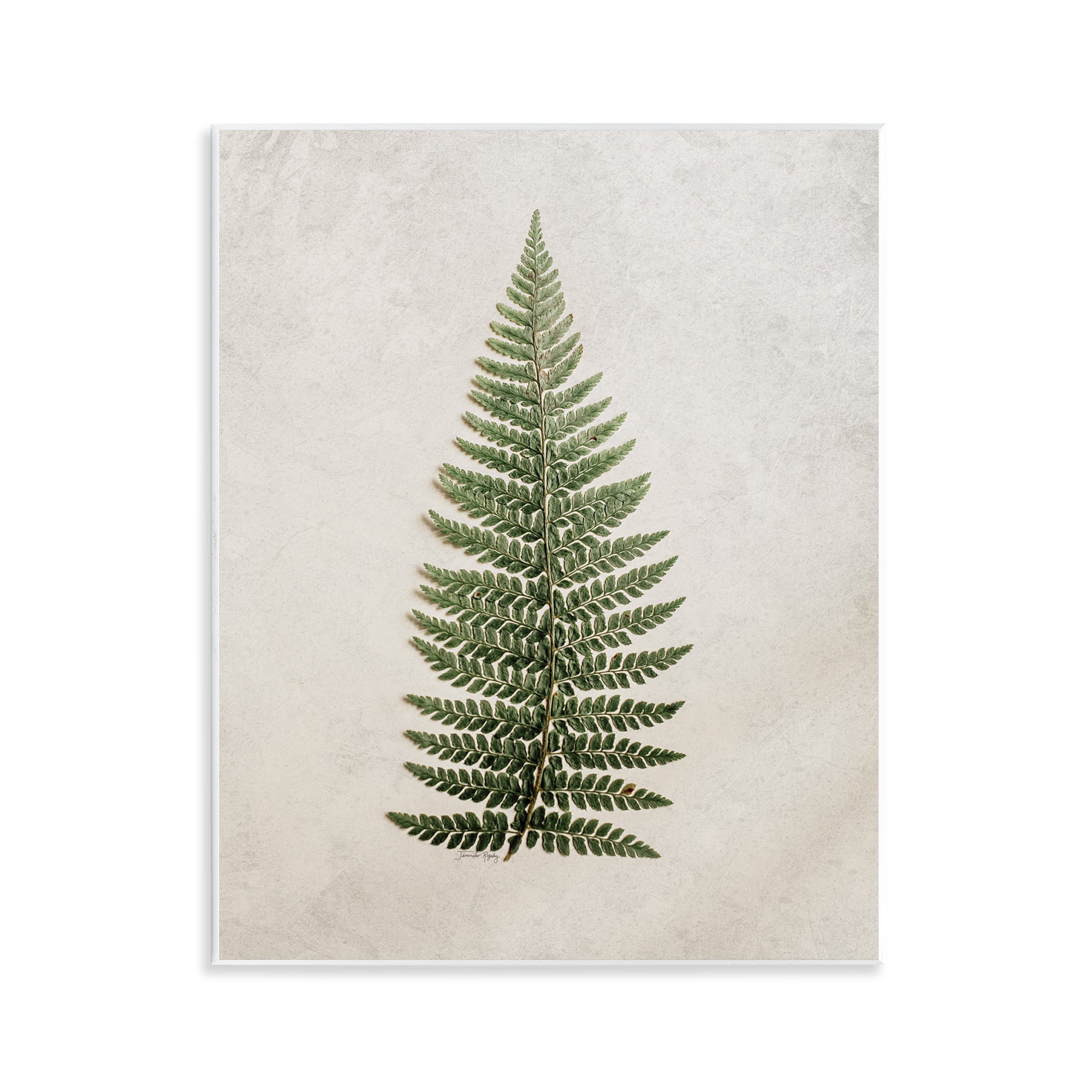 Stupell Industries Detailed Fern Leaf Botanical & Floral Painting Unframed Art Print Wall Art, 11 x 14