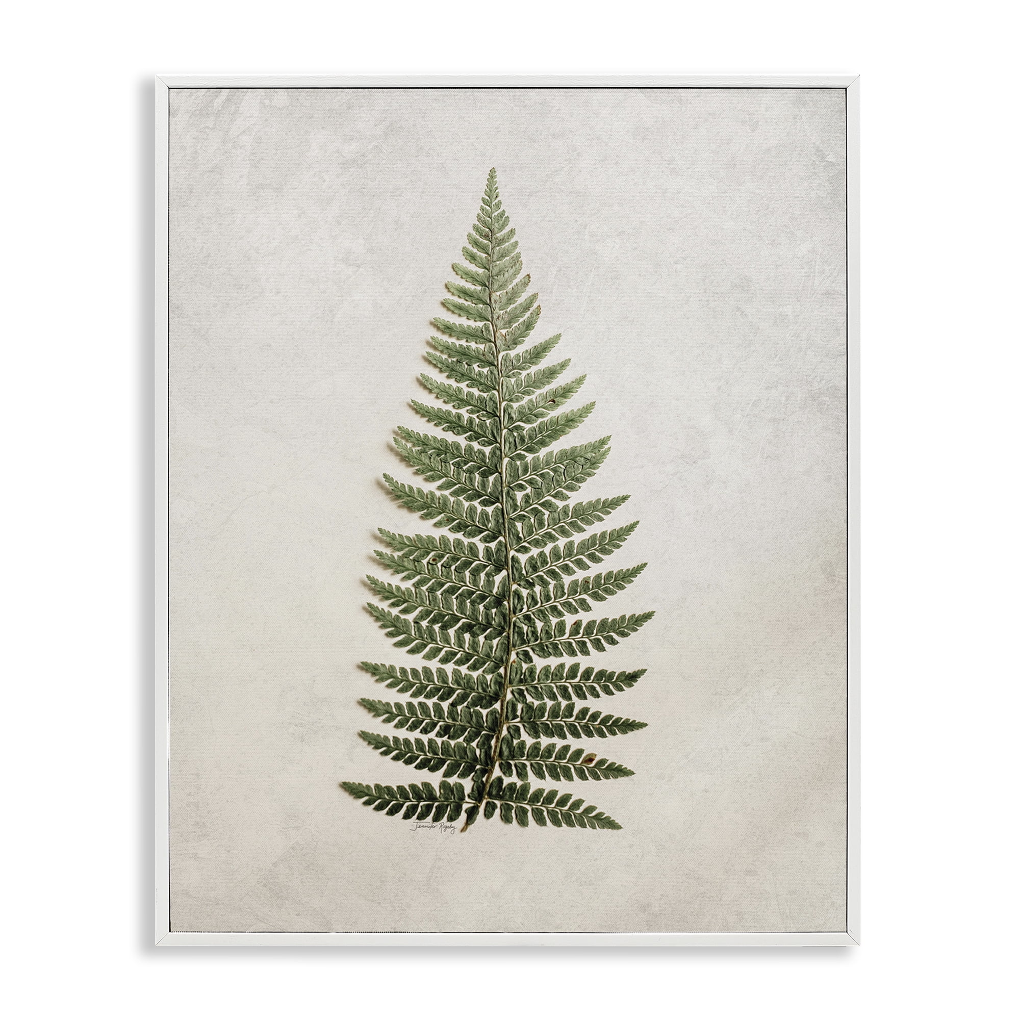 Stupell Industries Detailed Fern Leaf Botanical & Floral Painting White Framed Art Print Wall Art, 16 x 20