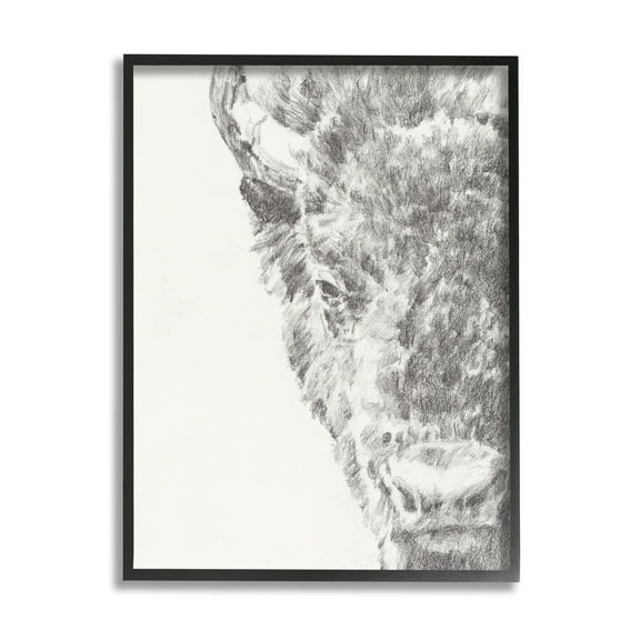Stupell Industries Detailed Graphite Bison Rural Farm Animal Drawing Drawing Print Black Framed Art Print Wall Art, Design by Ethan Harper