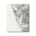 thumbnail image 1 of Stupell Industries Detailed Graphite Bison Rural Farm Animal Drawing Drawing Print Gallery Wrapped Canvas Print Wall Art, Design by Ethan Harper, 1 of 7