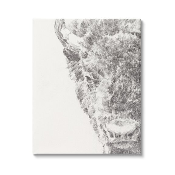 Stupell Industries Detailed Graphite Bison Rural Farm Animal Drawing Drawing Print Gallery Wrapped Canvas Print Wall Art, Design by Ethan Harper