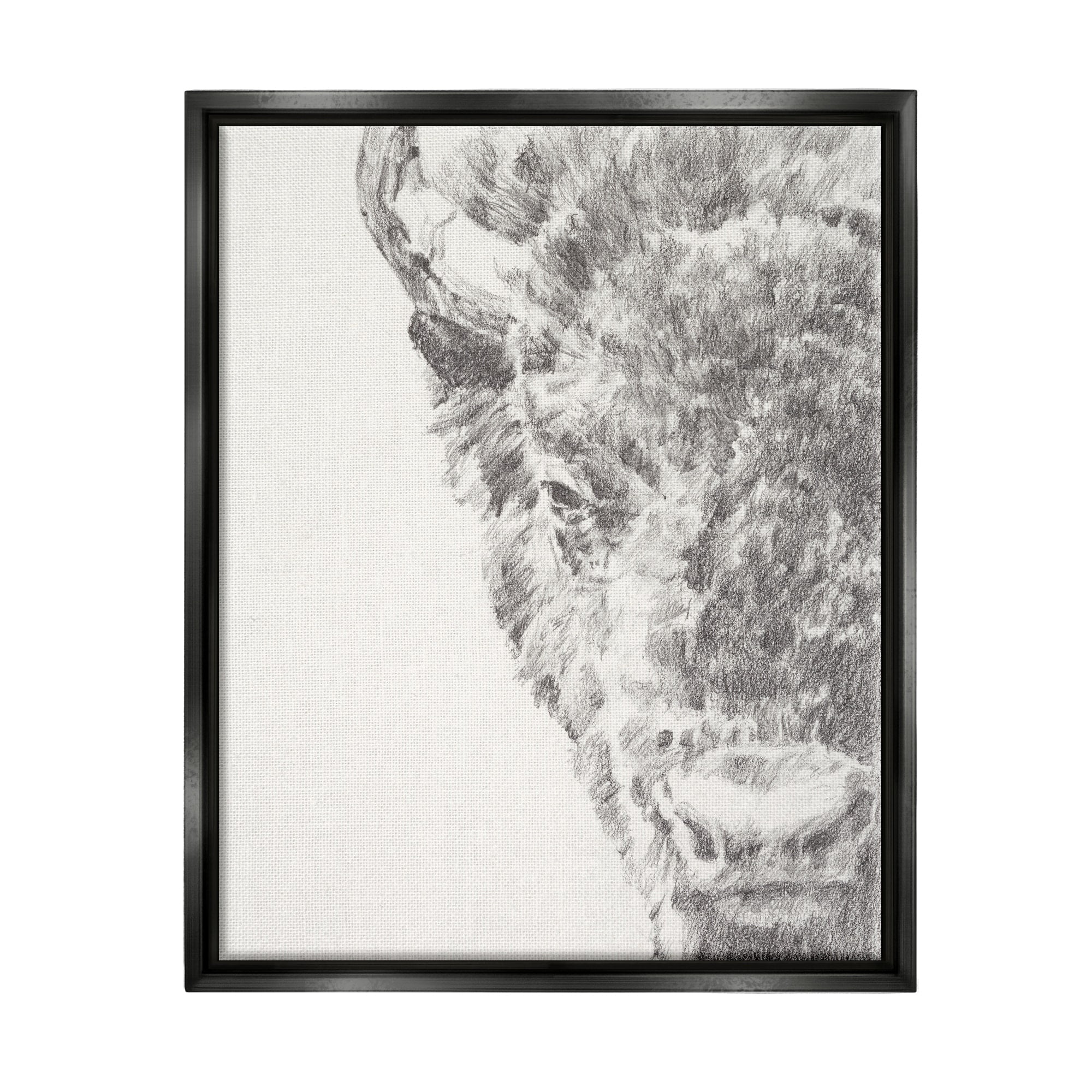 Stupell Industries Detailed Graphite Bison Rural Farm Animal Drawing Drawing Print Jet Black Floating Framed Canvas Print Wall Art, Design by Ethan Harper