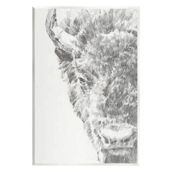 Stupell Industries Detailed Graphite Bison Rural Farm Animal Drawing Drawing Print Unframed Art Print Wall Art, Design by Ethan Harper