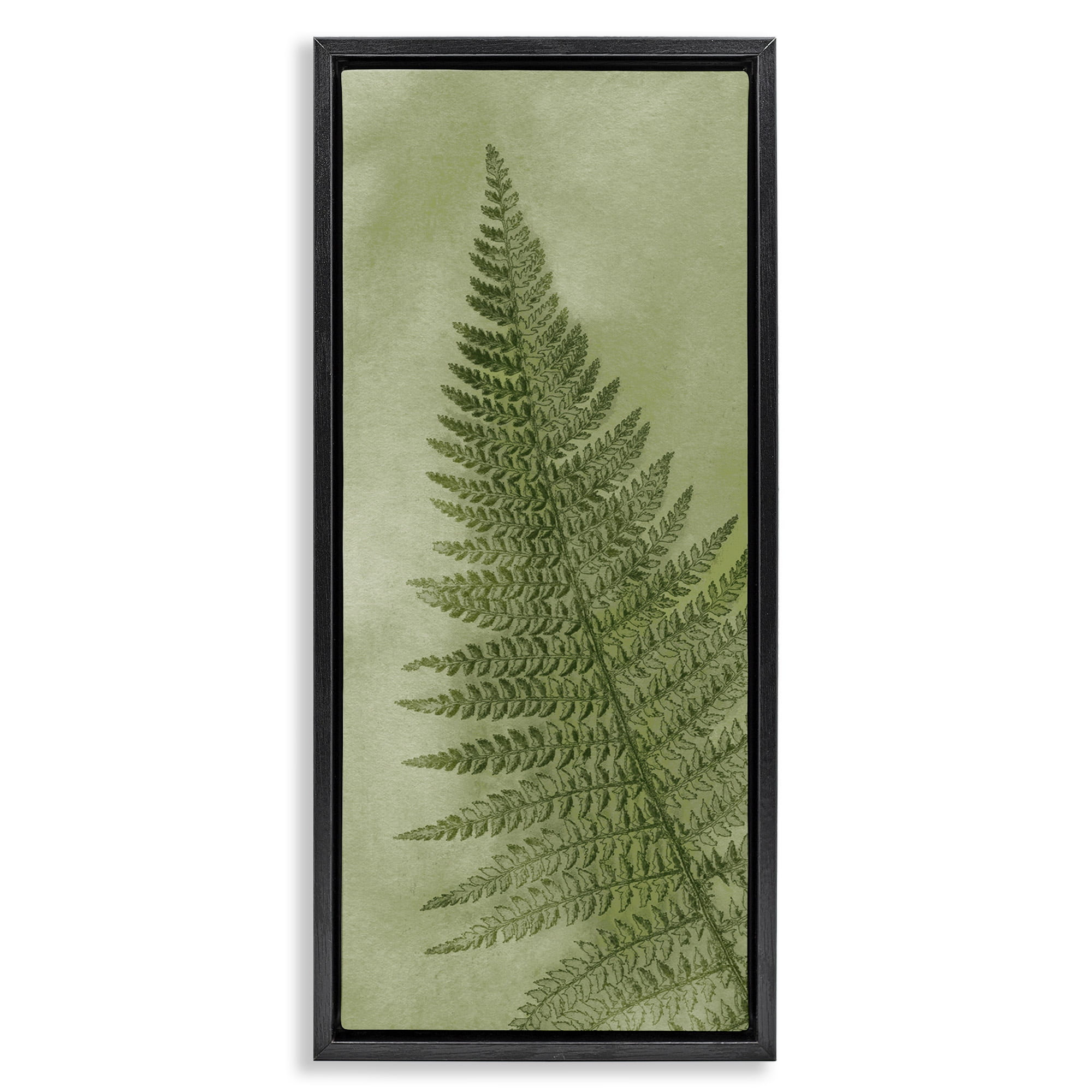Stupell Industries Detailed Green Fern Leaf Botanical & Floral Painting Black Floater Framed Canvas Art Print Wall Art, 15 x 31