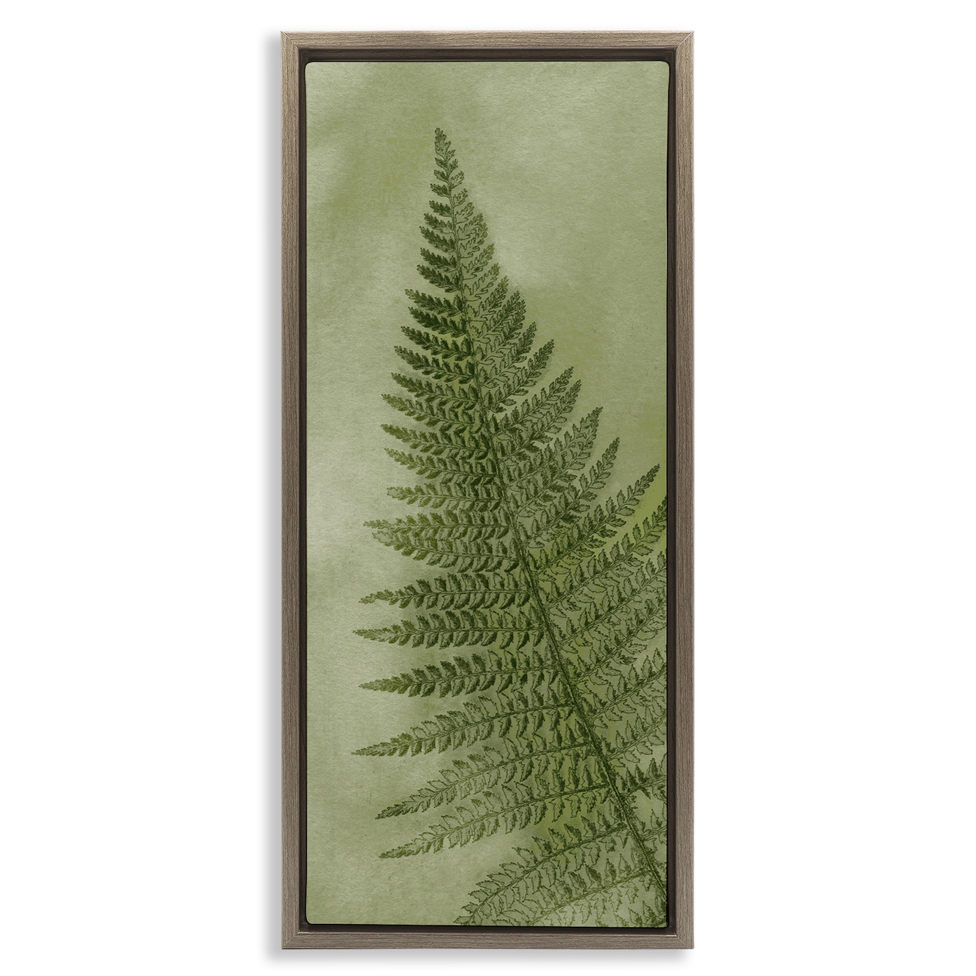 Stupell Industries Detailed Green Fern Leaf Botanical & Floral Painting Brown Floater Framed Canvas Art Print Wall Art, 15 x 31