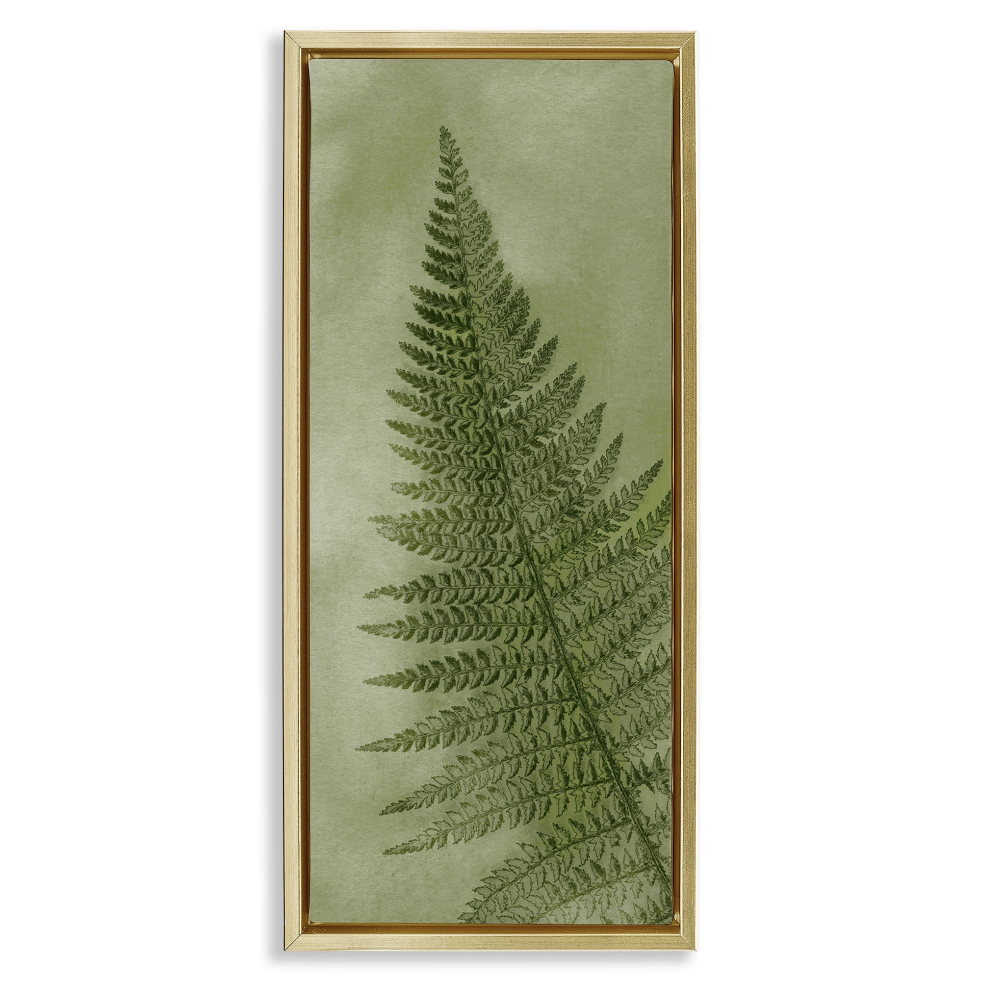 Stupell Industries Detailed Green Fern Leaf Botanical & Floral Painting Gold Floater Framed Canvas Art Print Wall Art, 15 x 31