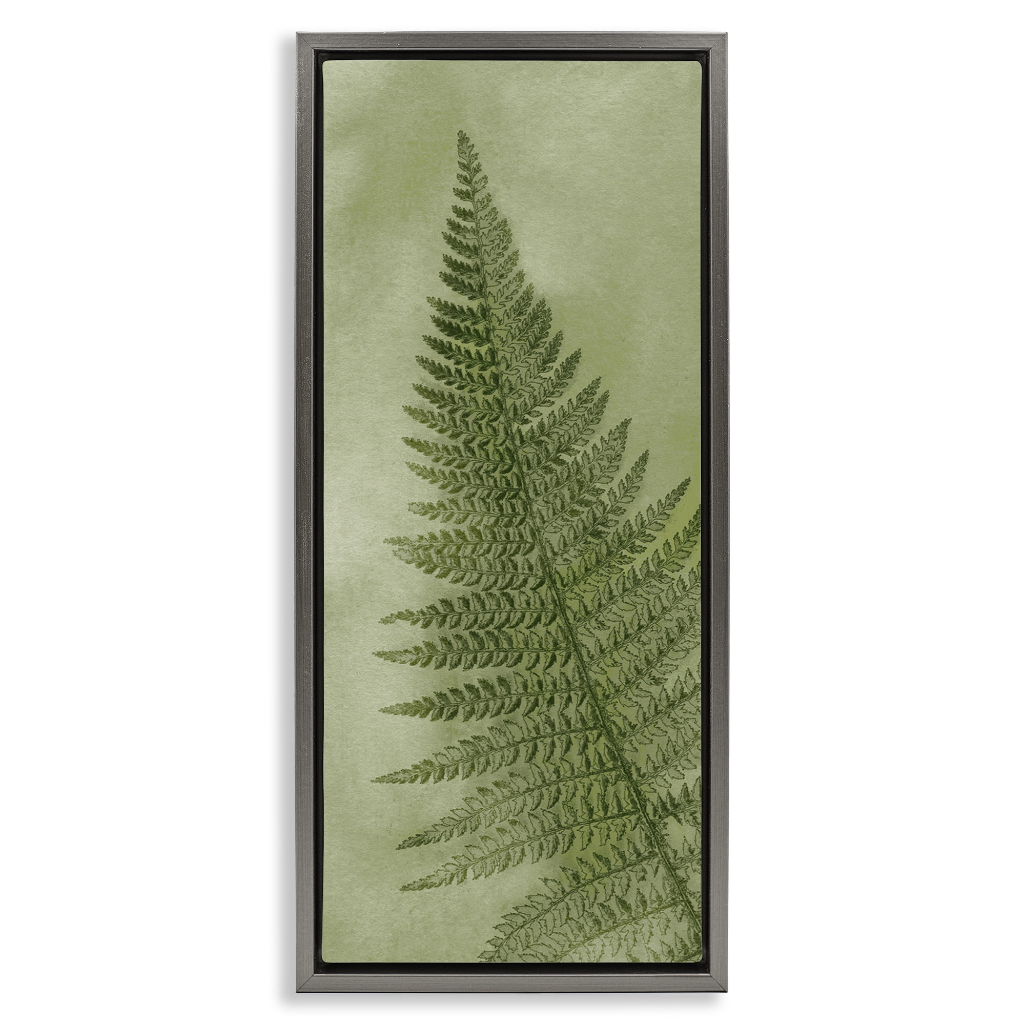 Stupell Industries Detailed Green Fern Leaf Botanical & Floral Painting Gray Floater Framed Canvas Art Print Wall Art, 11 x 25